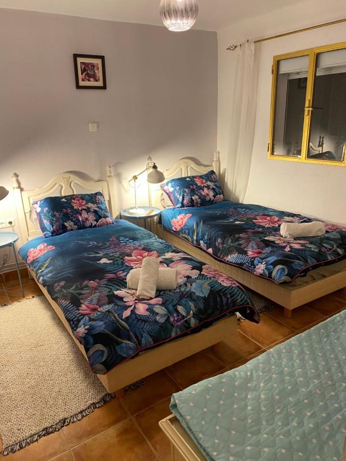 אנטקרה Dragonfly House Spain מראה חיצוני תמונה